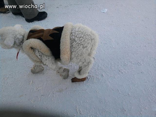 A gdzie szaliczek i czapeczka