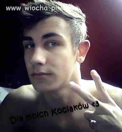 Dla moich kociaków ...