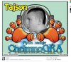 Tajson