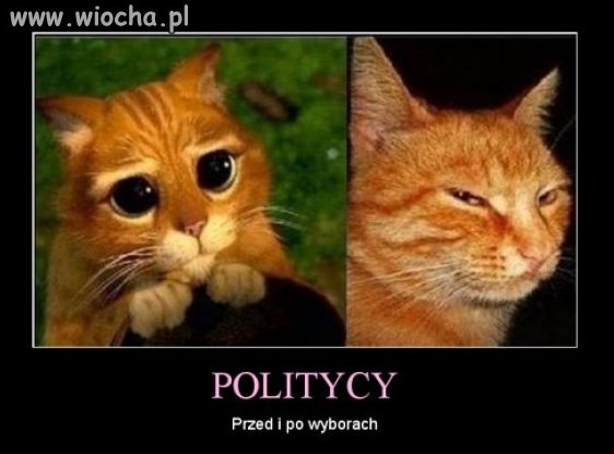 Święta prawda