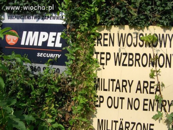 Żołnierzu obroń się sam...