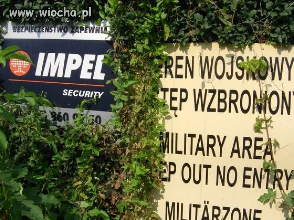 Żołnierzu obroń się sam...