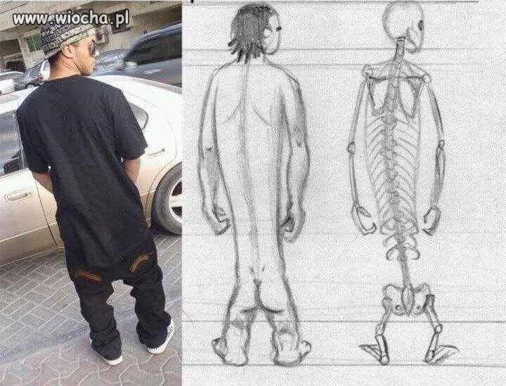 Rewolucja 