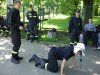 Brawo za hańbienie mundurowych