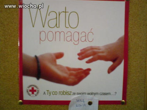 A ty co robisz ze swoim wolnym czasem?