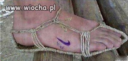 Czas na letnie Najacze