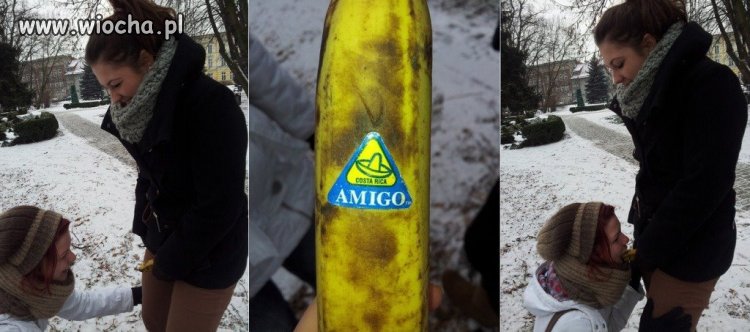 Lodzik Amigo...
