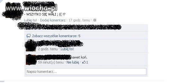Koń się wali 