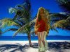 Na plaży wśród palm