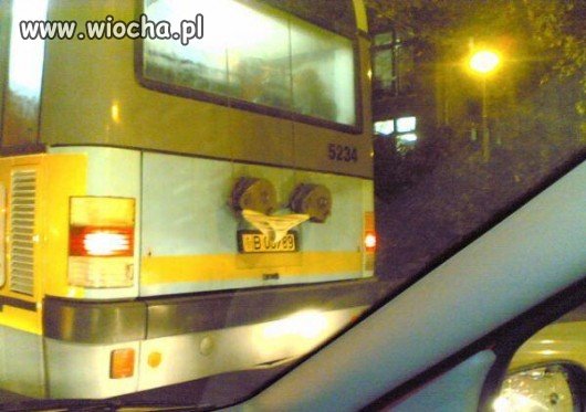 Szukasz bielizny?
