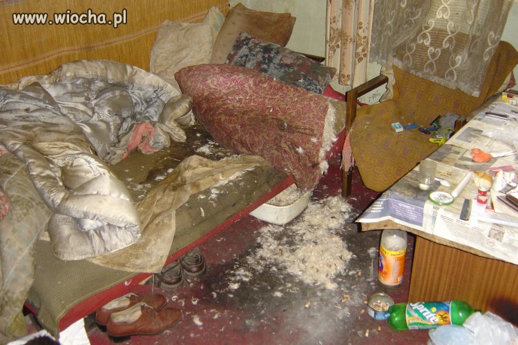 Pokoik po żulu