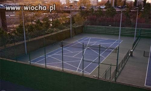 Tenis