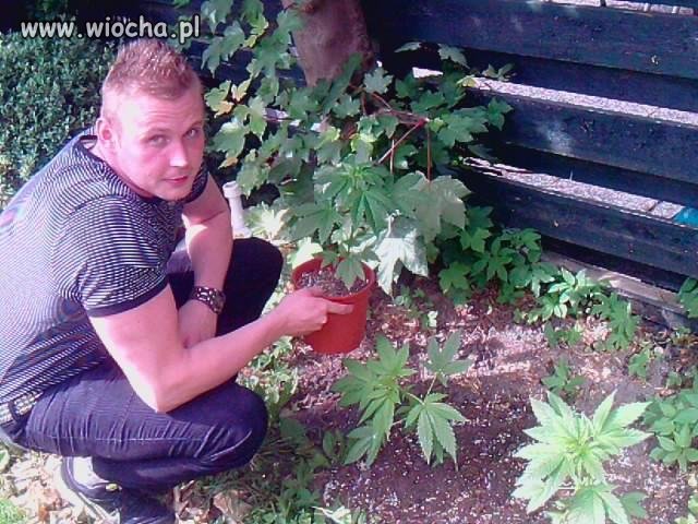 Kwiaciarka...