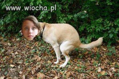 Mała obróbka...