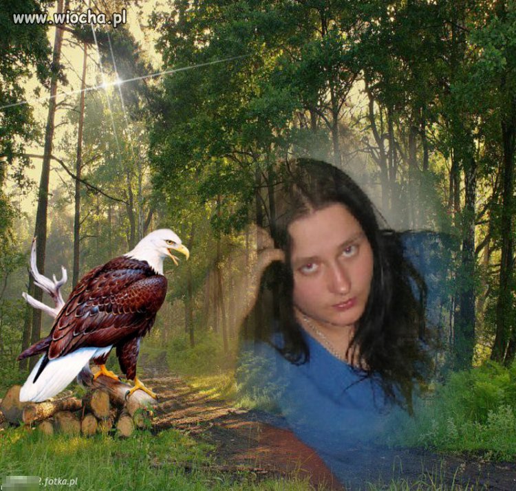 Mistrz Photoshopa 