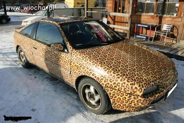 Auto w ciapki