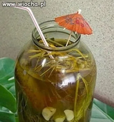 Ogórkowy drink