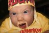 Hulk Hogan