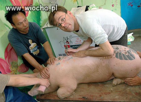 Na sobie niech poćwiczy ...