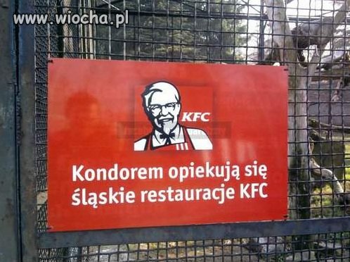 WTF?