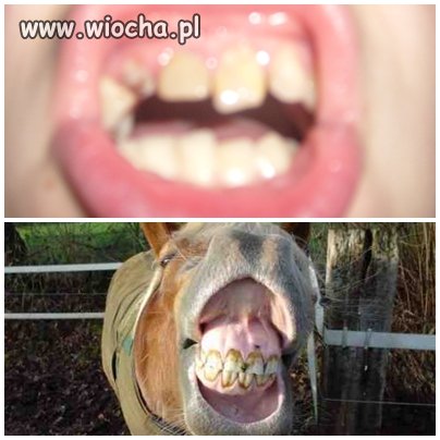 Bo najważniejsze to...