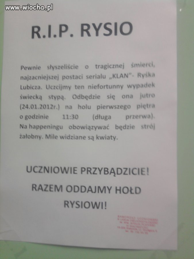 Rysio