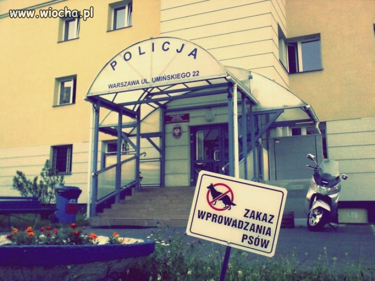 Hahaha znak prawdę ci powie 