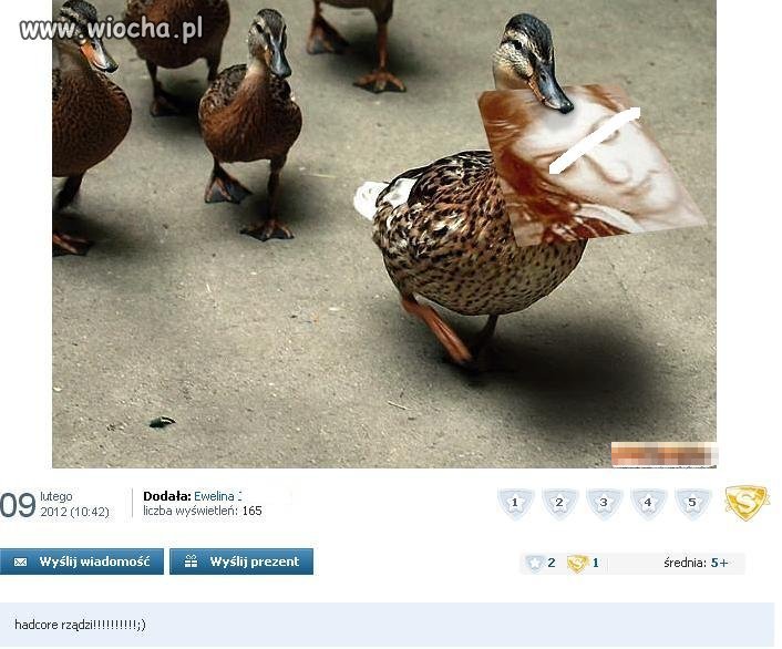 Hardcore rządzi 