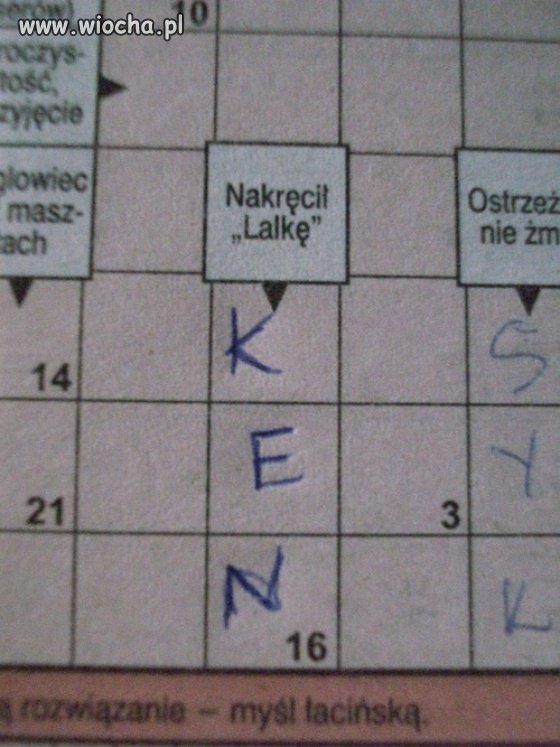 Inteligencja 