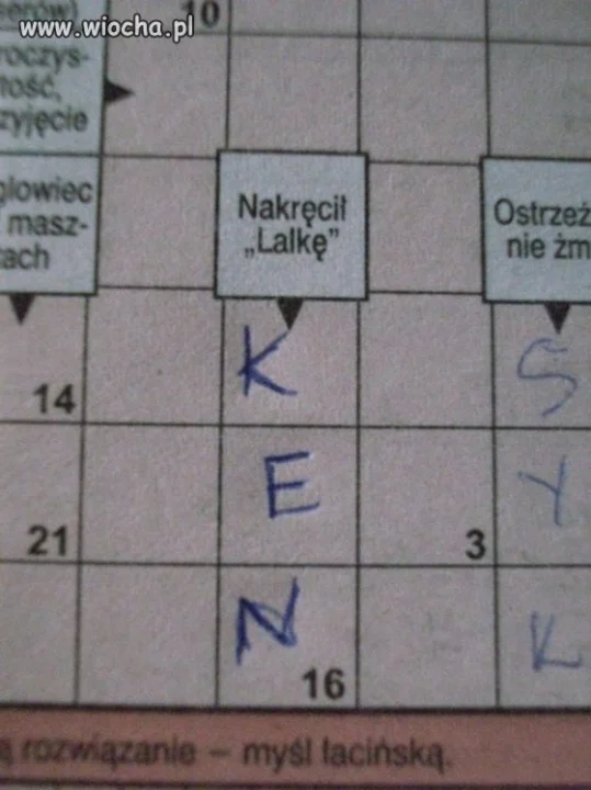 Inteligencja 