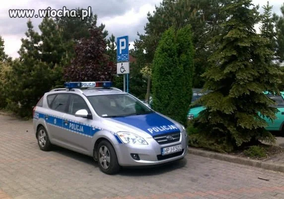 Polska policja 