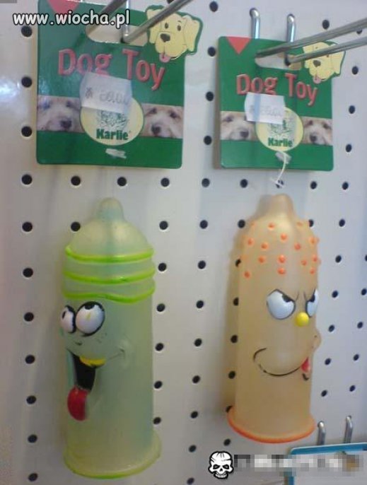 Dog Toy...