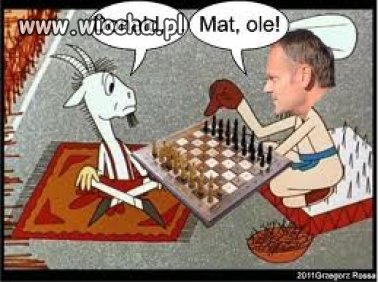 Tusk i koziołek matołek