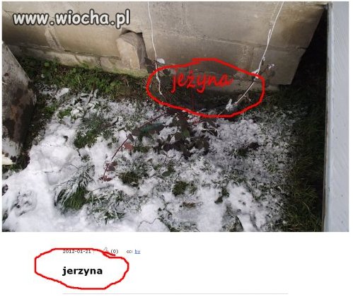 Niezdecydowany?