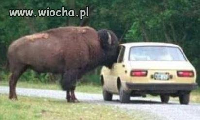 Ja się z Panem zabiorę.