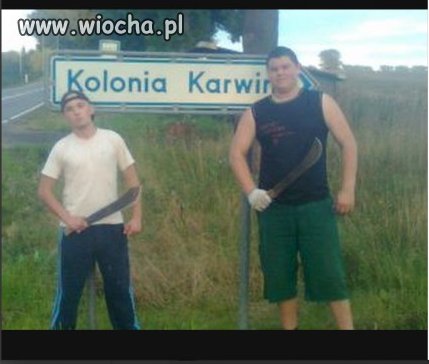 Sami oceńcie...