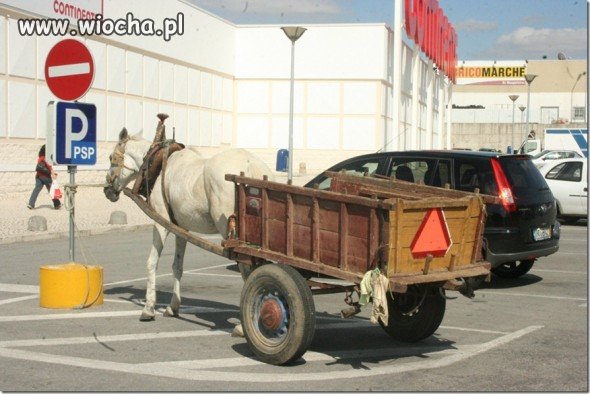 Tu należy się karny ku*as