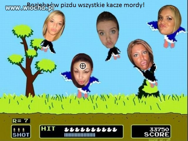 Kacze 