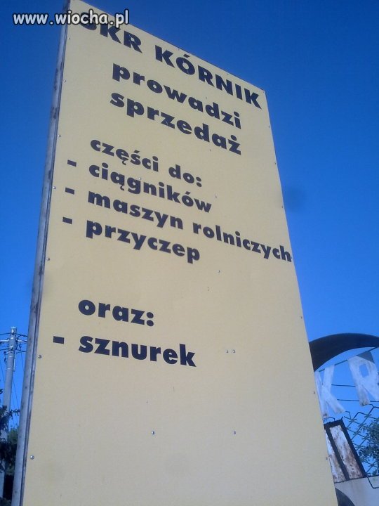 Szeroki asortyment