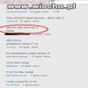 Polak komentuje ... wiocha 