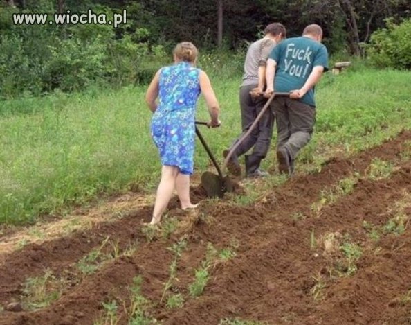 Praca zespołowa
