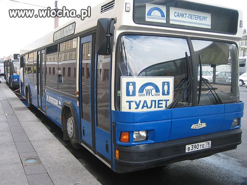 Sraczyk objazdowy