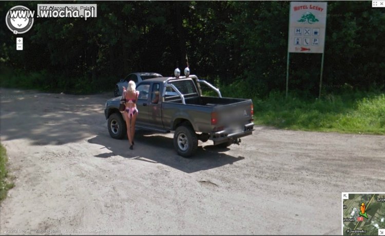 Ssak leśny