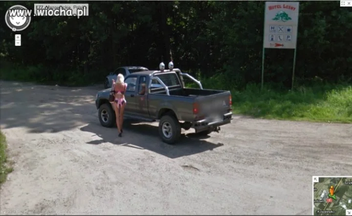 Ssak leśny