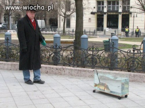 O lol...   