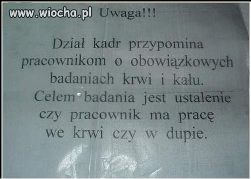 Dział kadr przypomina