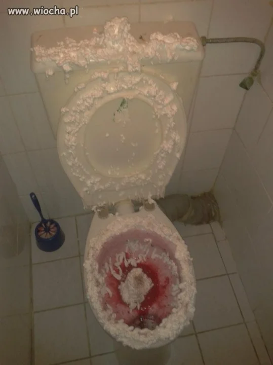 Udekorowanie kibla