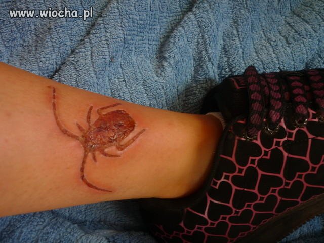 Wiocha!