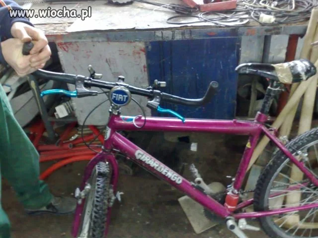 Nowość na rynku