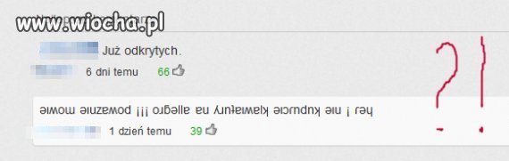 Zakupy na allegro